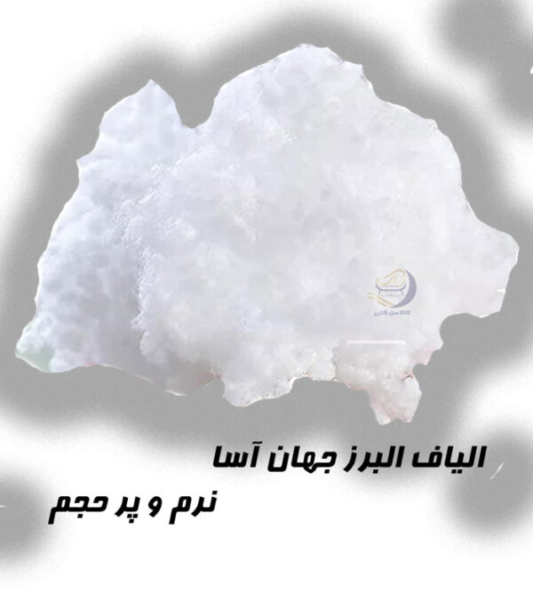 الیاف البرز جهان آسا